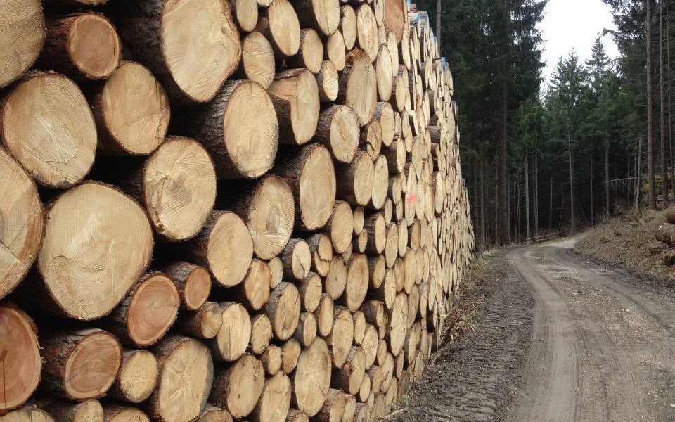Lau Forst Holzhandel